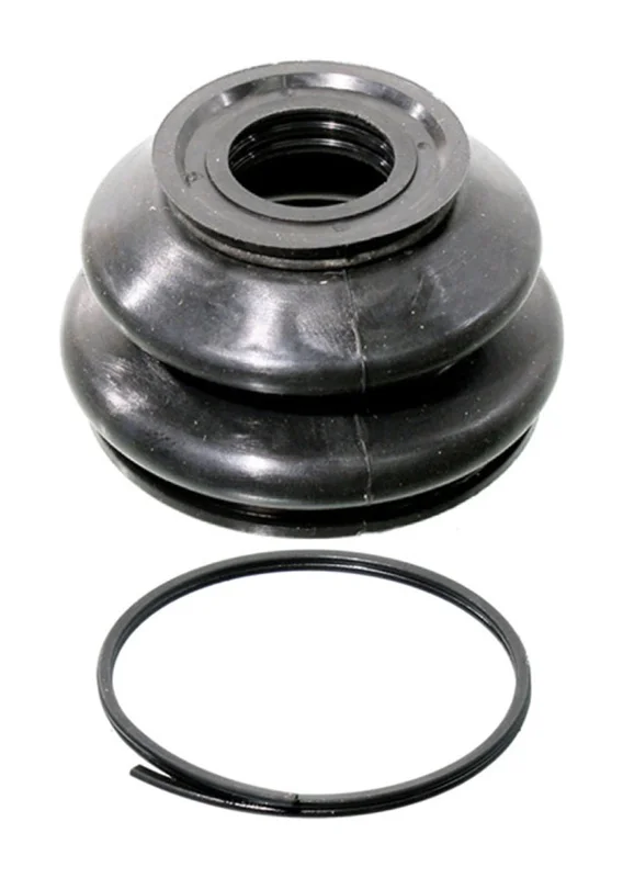fassmotorsports33808789