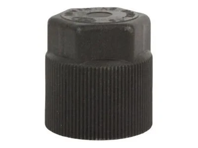 moparpartsgiant13-4400157